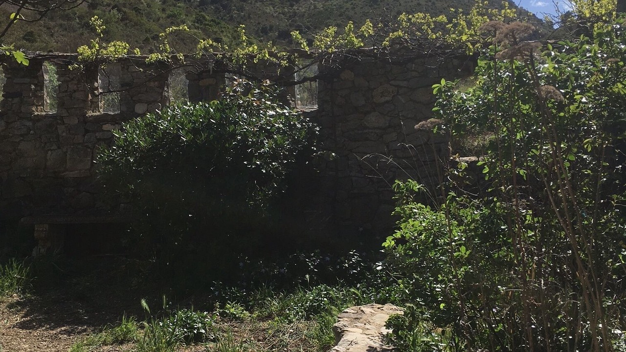 Photo of Outdoor in Embres-et-Castelmaure