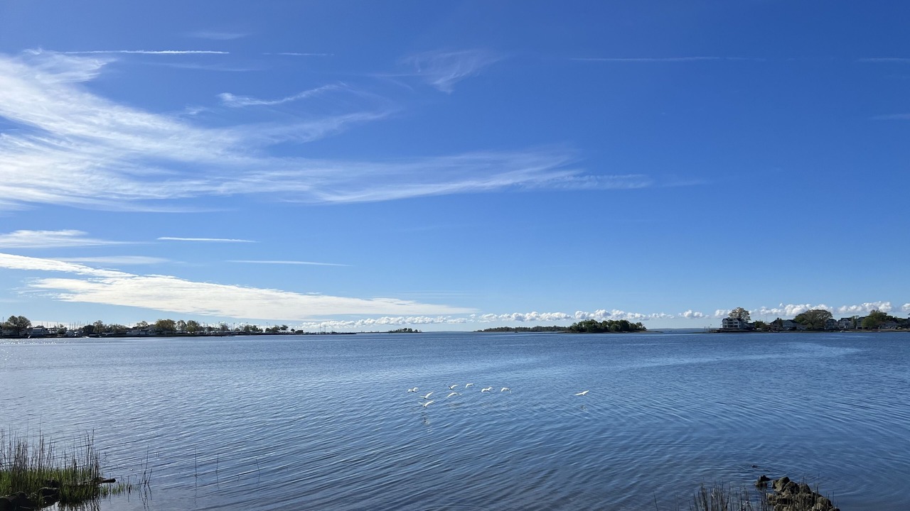 Photo of Others in Norwalk