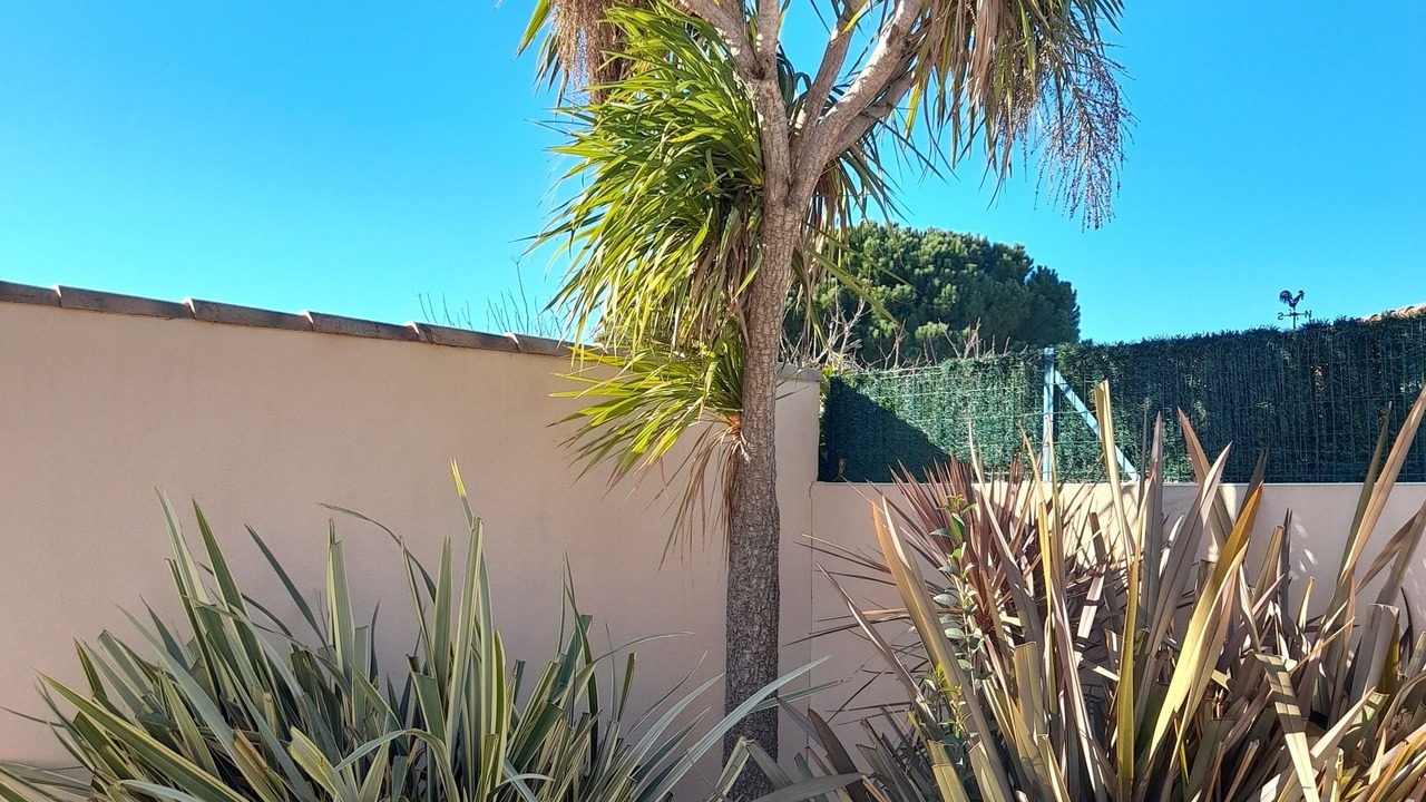 Photo of Outdoor in Mauguio