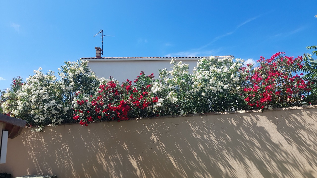 Photo of Outdoor in Mauguio