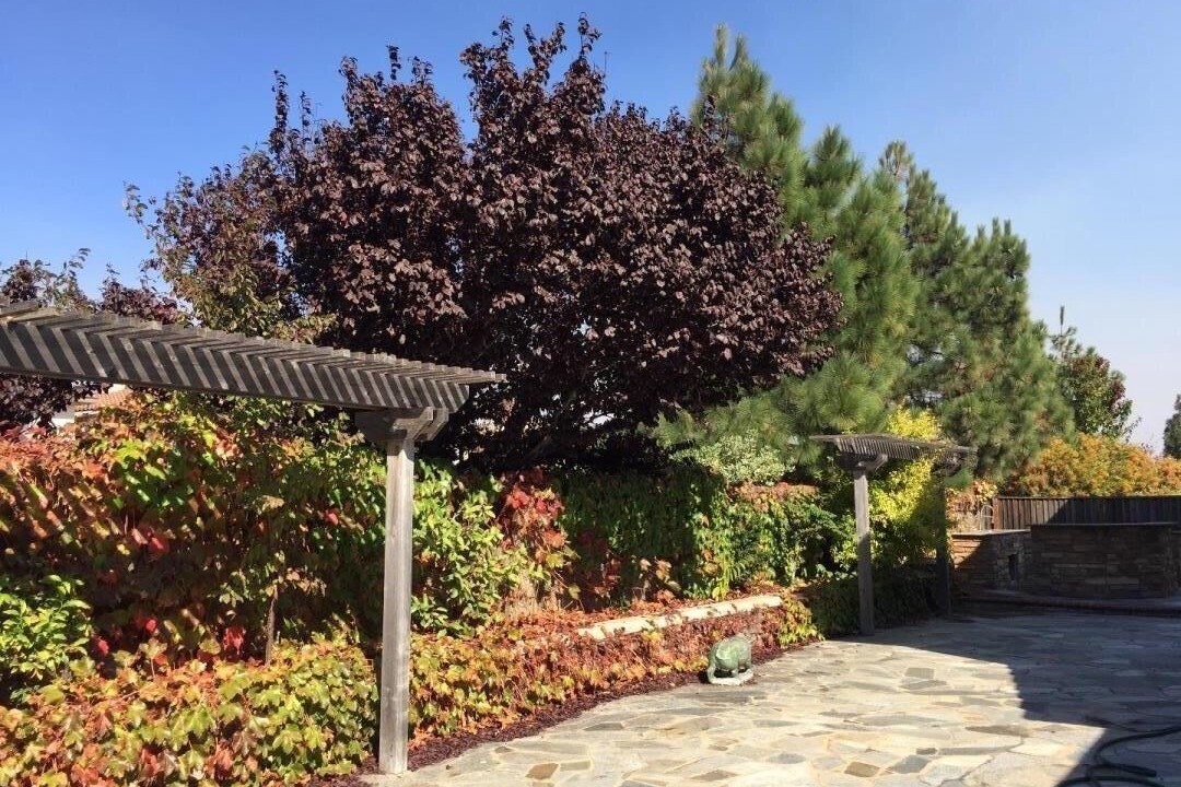 Photo of Outdoor in Union City