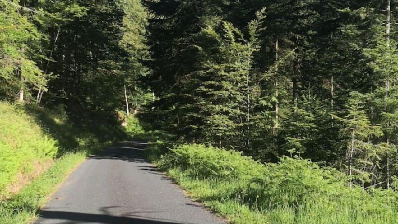 Photo of Outdoor in Walscheid