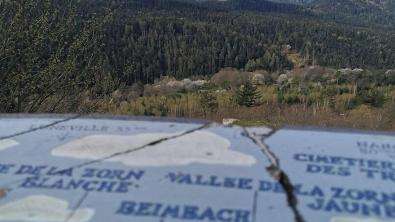 Photo of Others in Walscheid