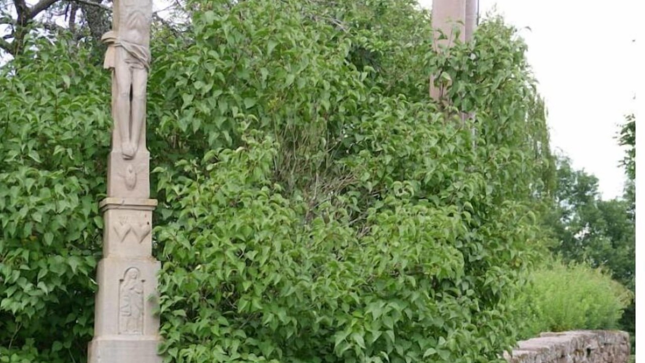 Photo of Outdoor in Walscheid