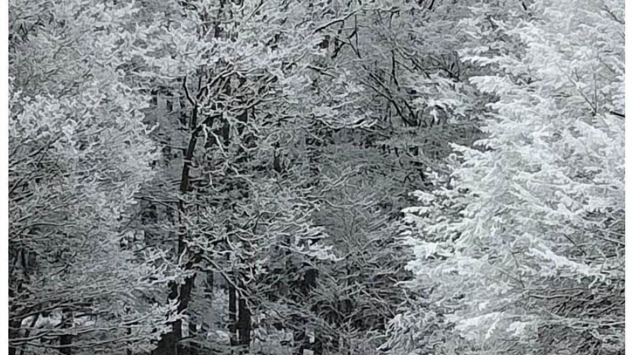 Photo of Outdoor in Walscheid