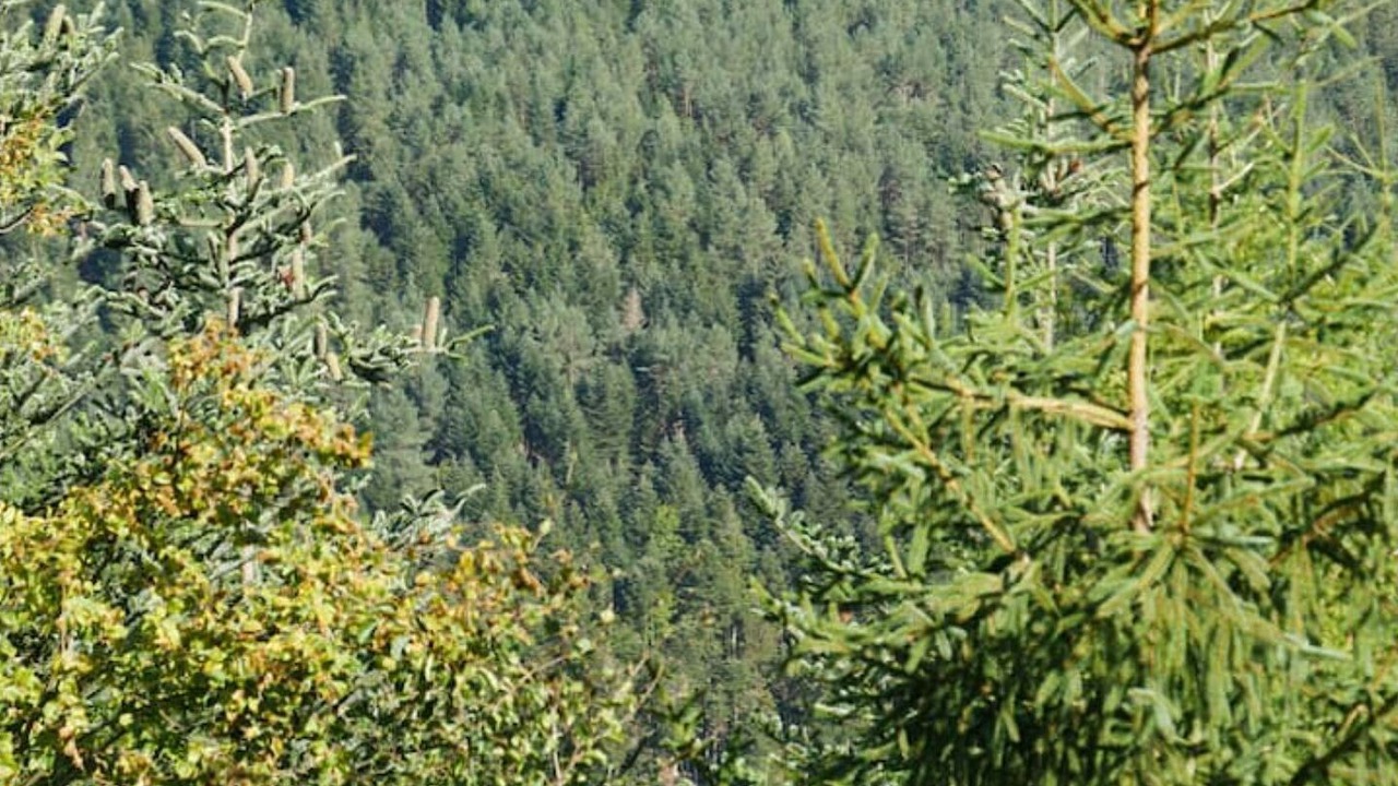 Photo of Outdoor in Walscheid