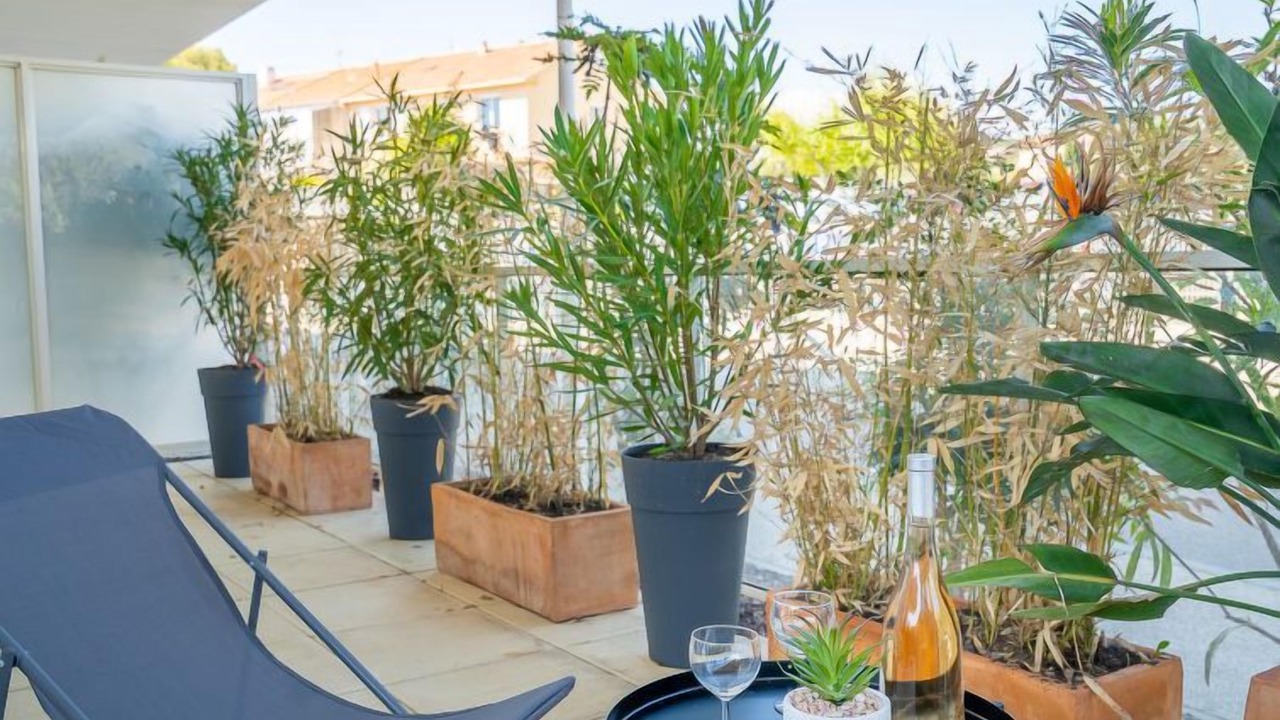 Photo of Others in Carqueiranne