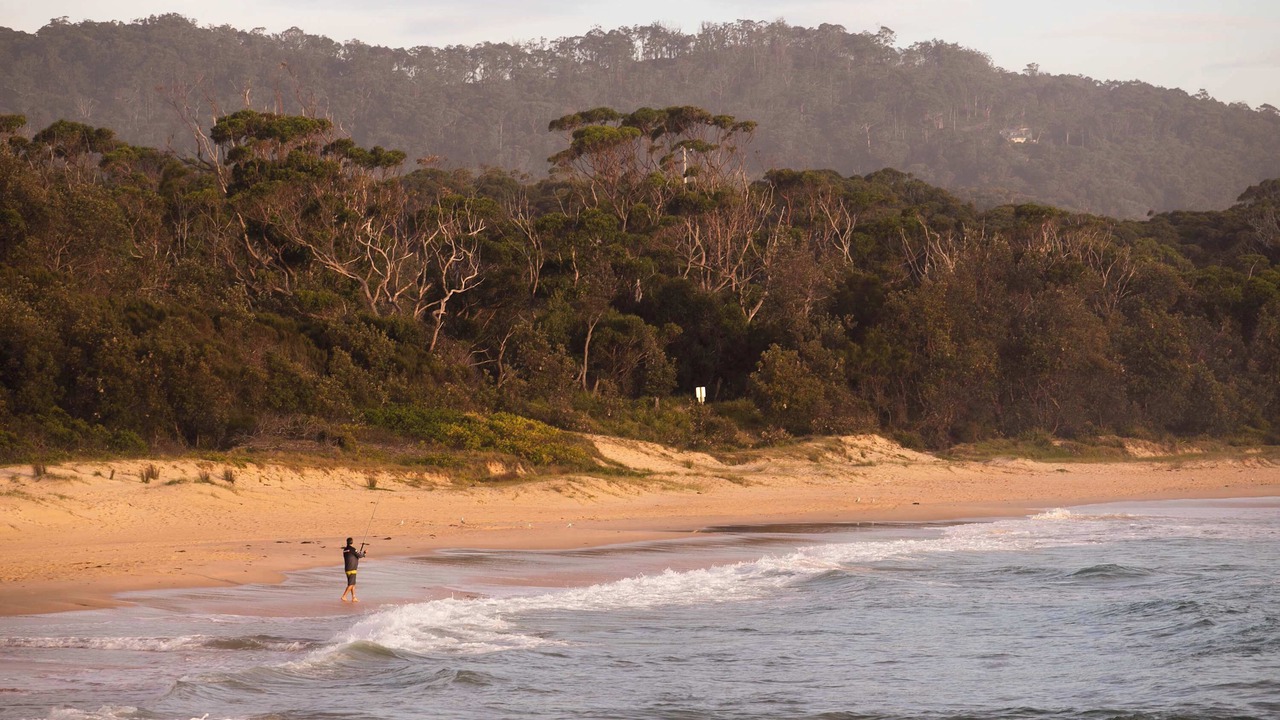 Photo of Others in Kioloa