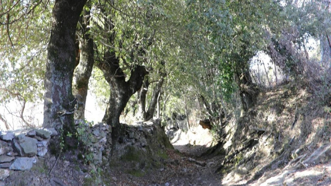 Photo of Others in Mazzola