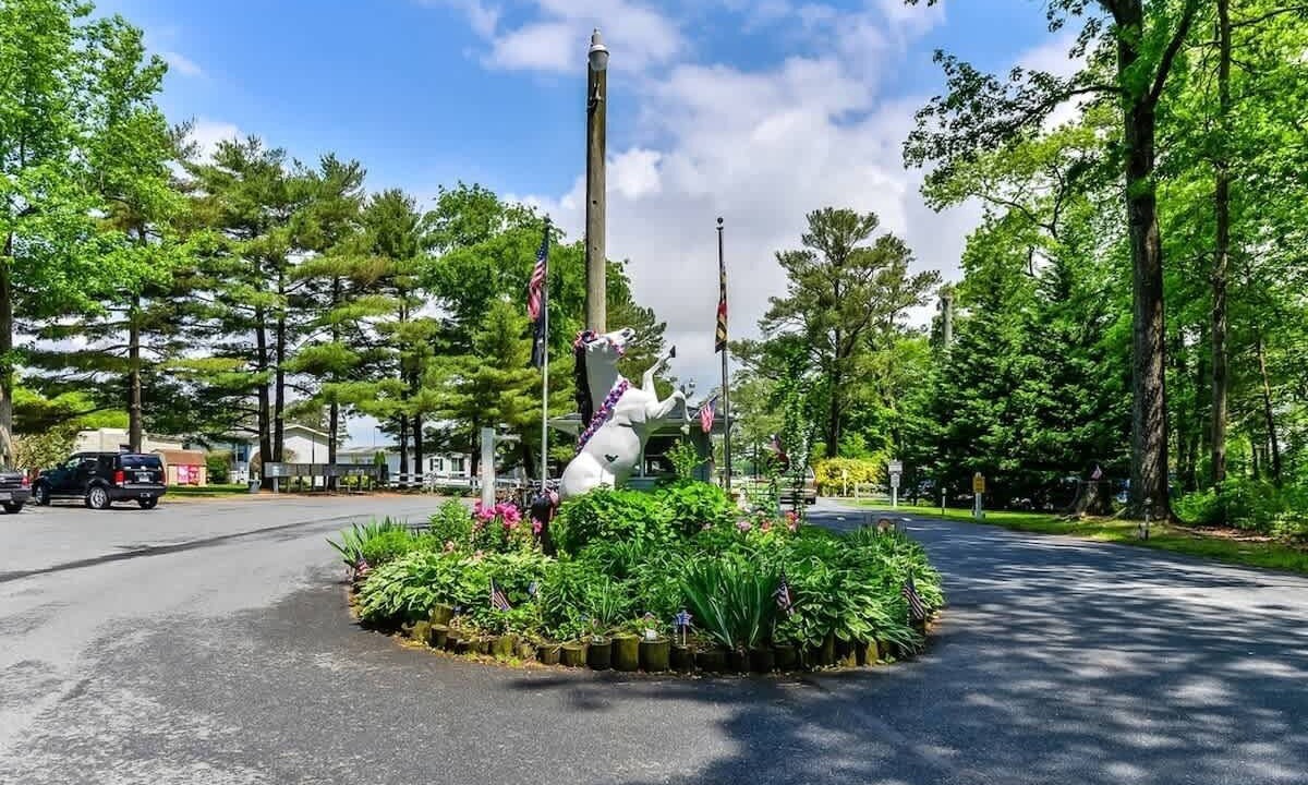Photo of Others in Ocean Pines