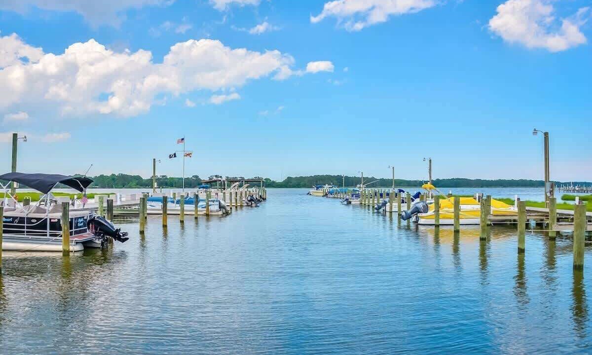 Photo of Others in Ocean Pines