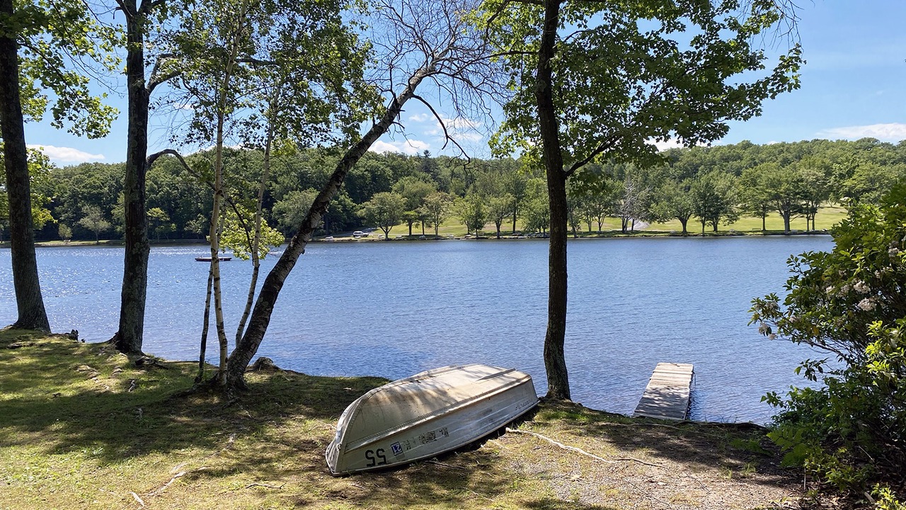 Photo of Outdoor in Reeders