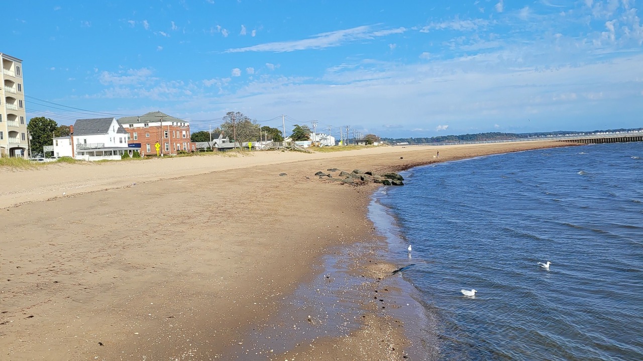 Photo of Others in West Haven