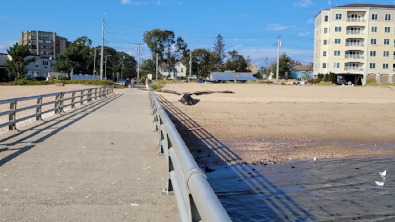 Photo of Others in West Haven