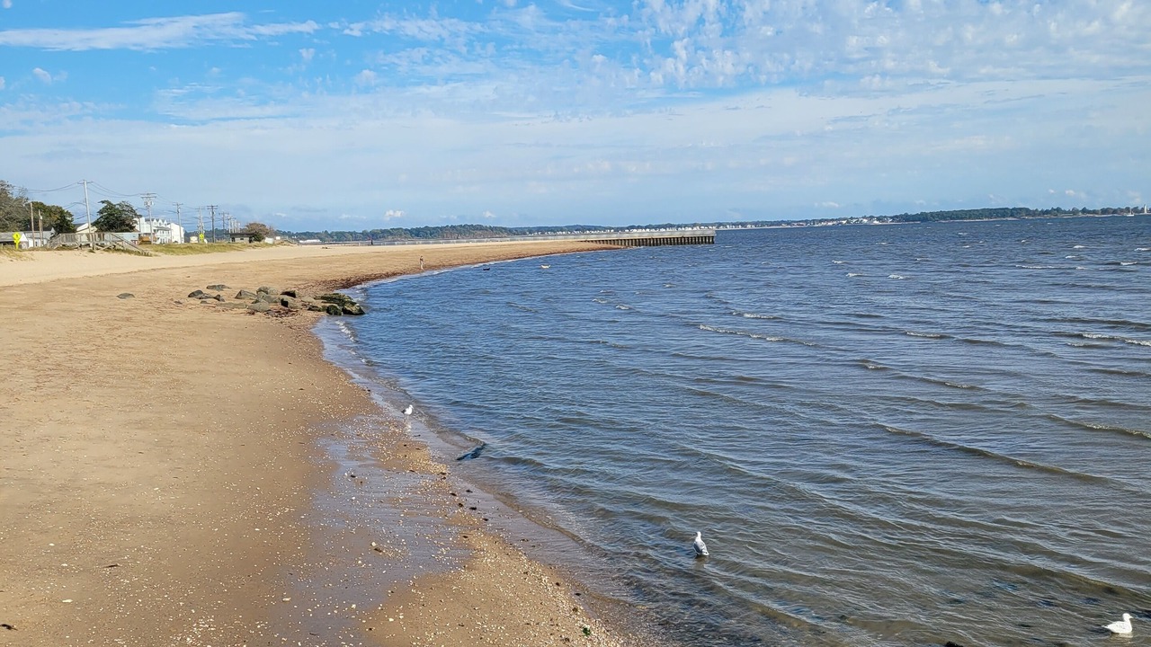 Photo of Others in West Haven