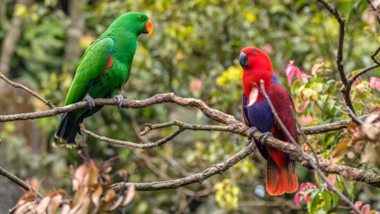 Photo of Others in Forestville