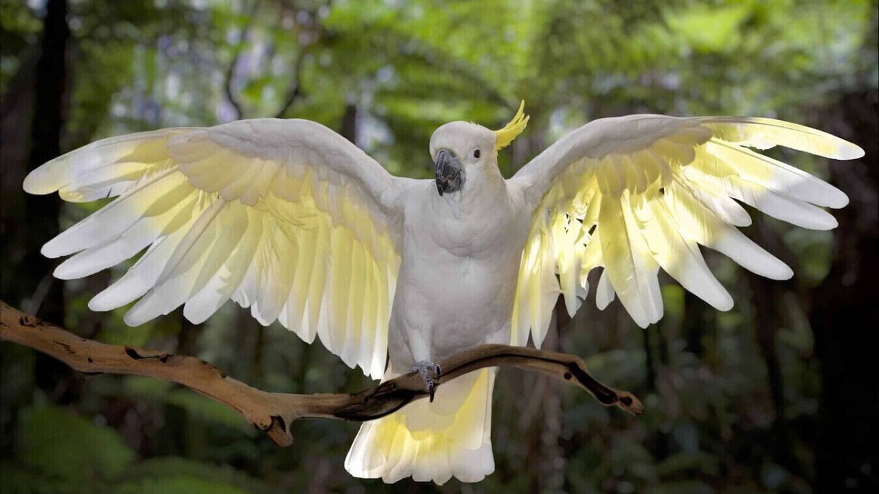 Photo of Others in Forestville