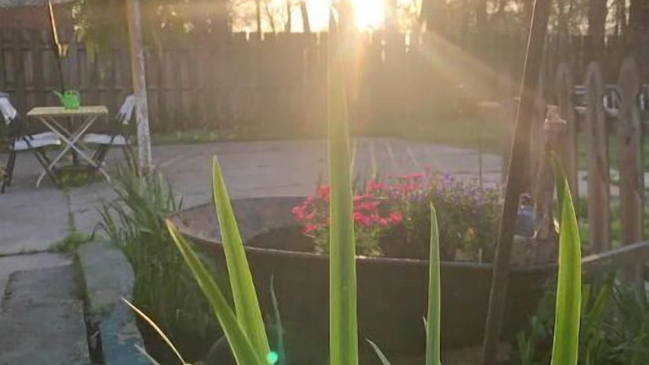 Photo of Outdoor in Sunset