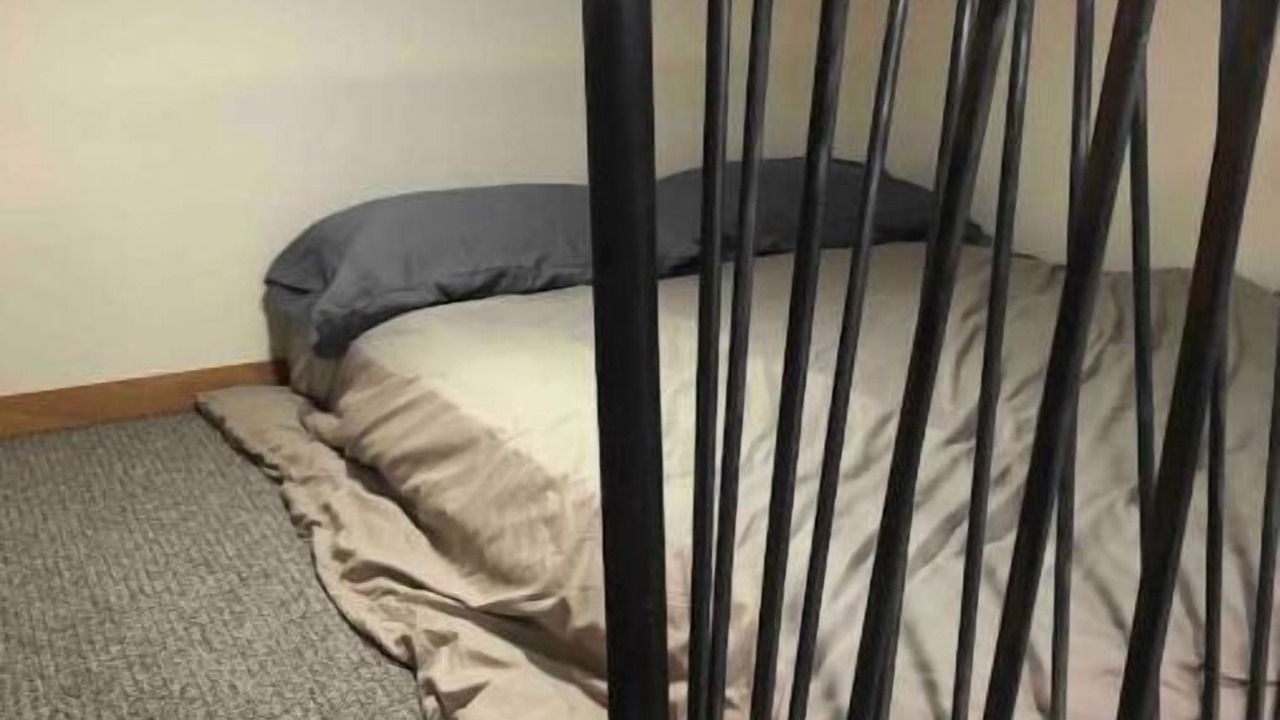 Photo of Others in Nine Mile Falls