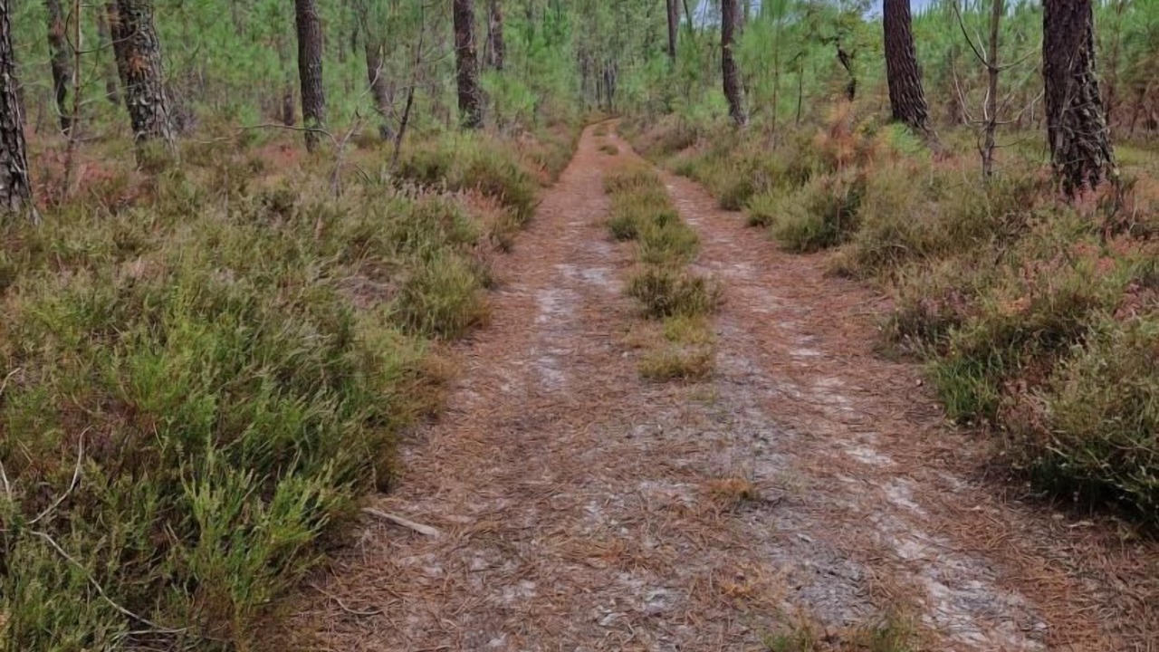 Photo of Others in Lavazan