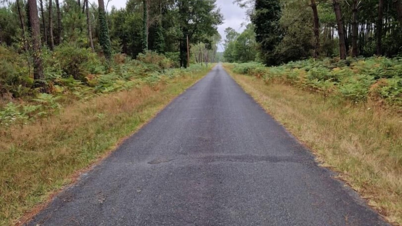 Photo of Others in Lavazan