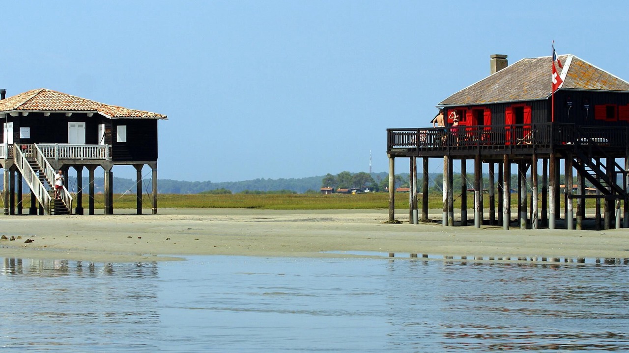 Photo of Outdoor in Saint-Morillon