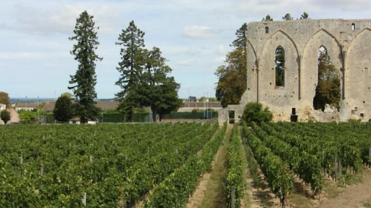 Photo of Others in Saint-Morillon