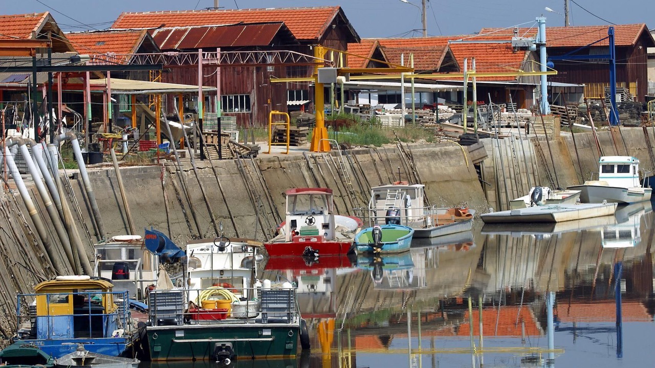 Photo of Others in Saint-Morillon