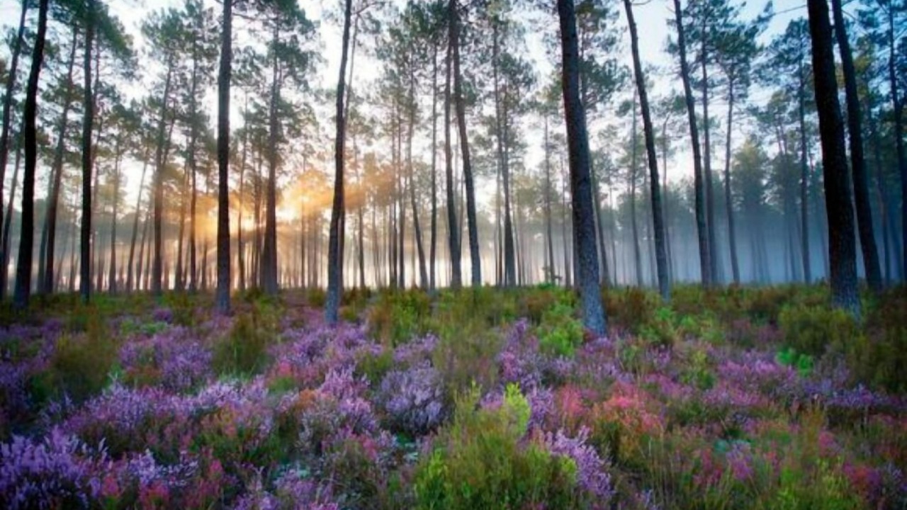 Photo of Outdoor in Uzeste