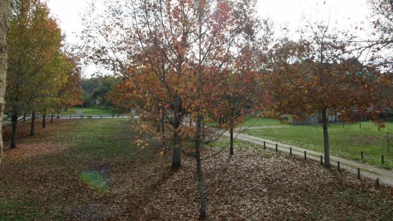 Photo of Outdoor in Uzeste