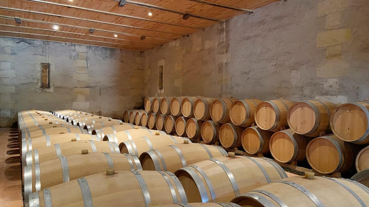 Photo of Others in Saint-Martin-de-Laye