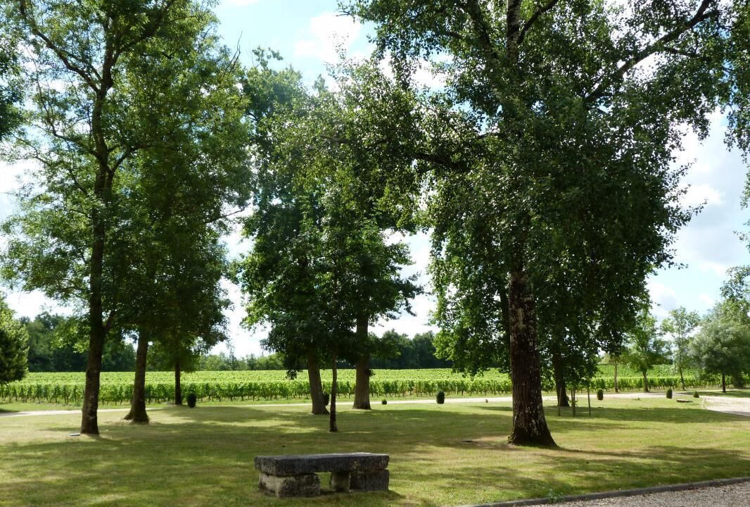 Photo of Others in Saint-Martin-de-Laye