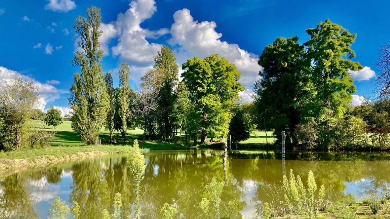 Photo of Others in Saint-Martin-de-Laye