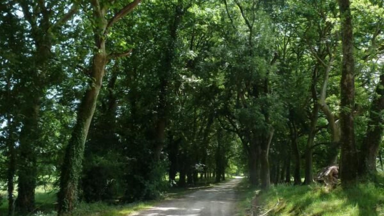 Photo of Others in Saint-Martin-de-Laye