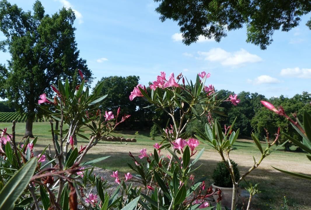 Photo of Outdoor in Saint-Martin-de-Laye