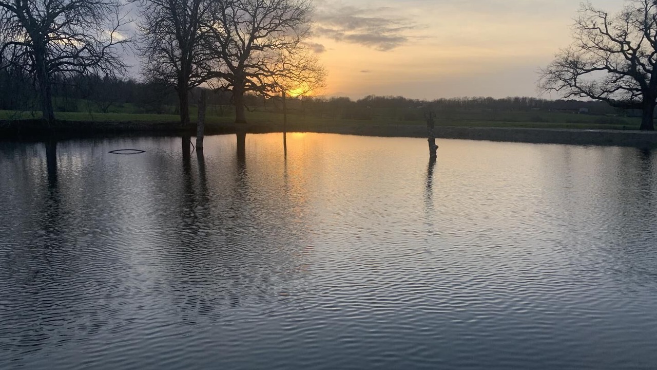 Photo of Others in Saint-Martin-de-Laye