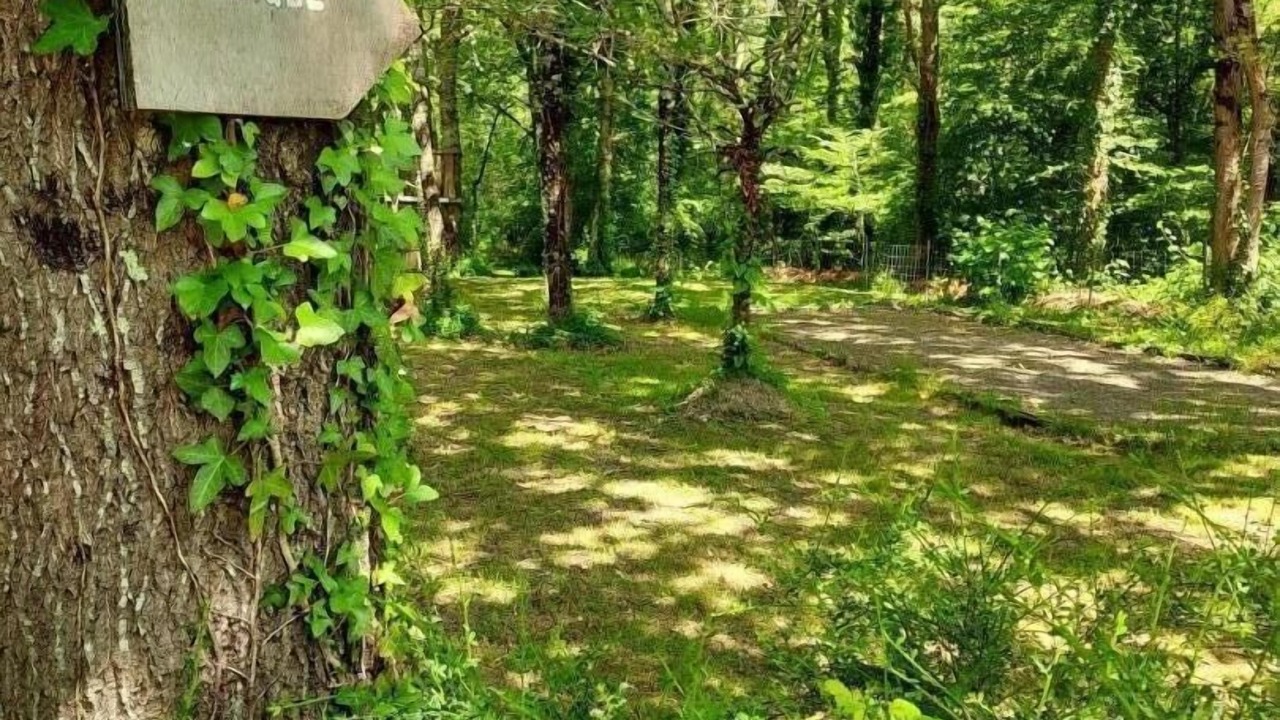 Photo of Outdoor in Cezac