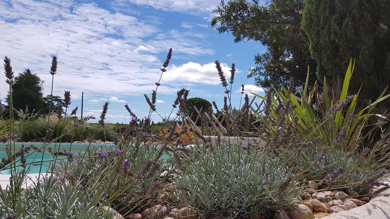 Photo of Outdoor in Montagne