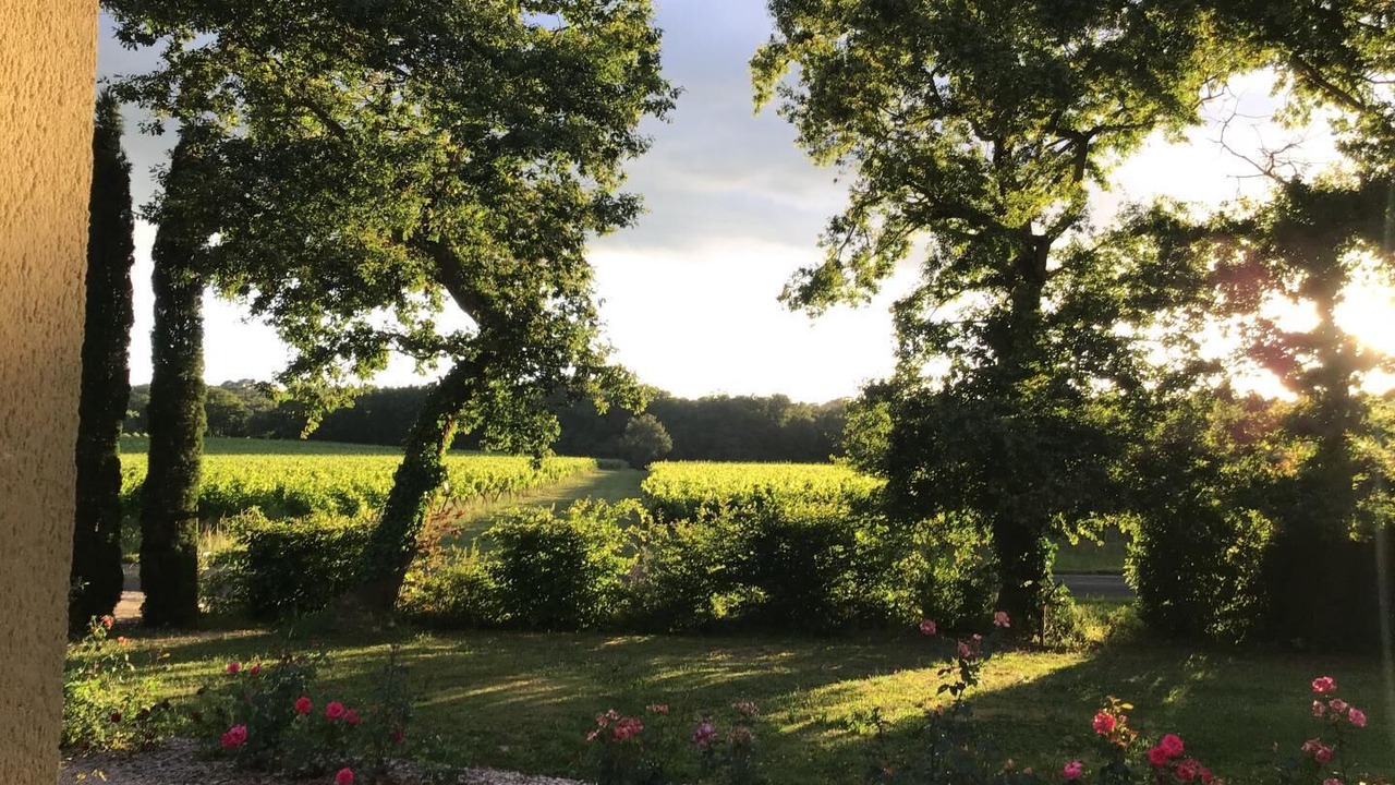 Photo of Outdoor in Montignac
