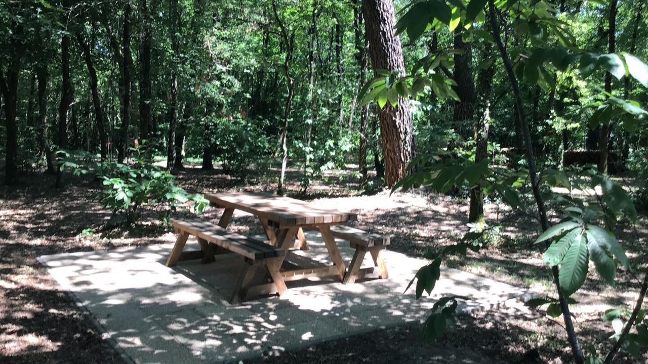 Photo of Outdoor in Montignac