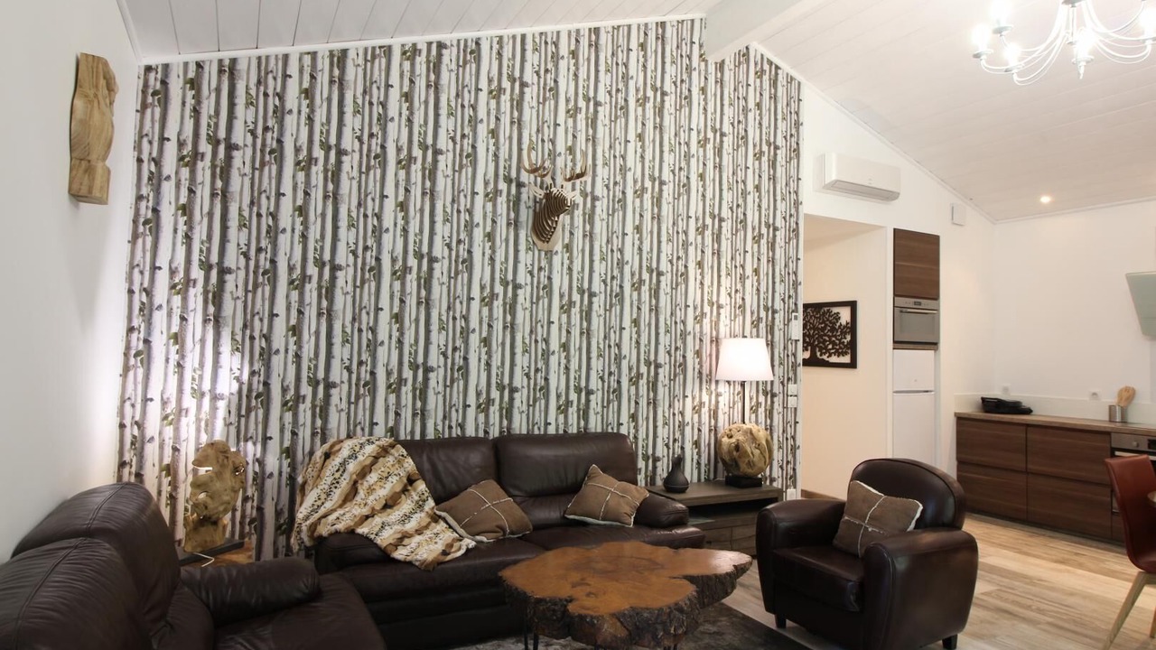 Photo of Livingroom in Montignac