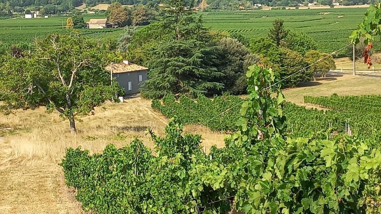 Photo of Outdoor in Pujols