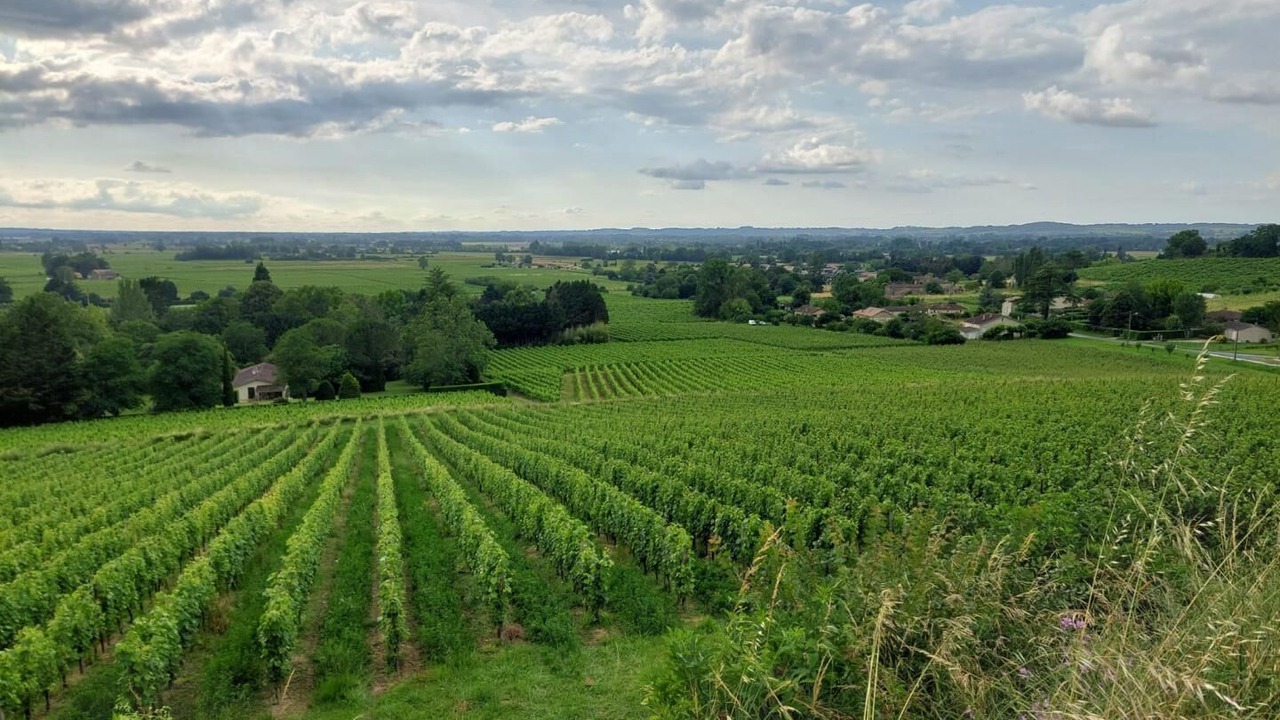 Photo of Others in Pujols