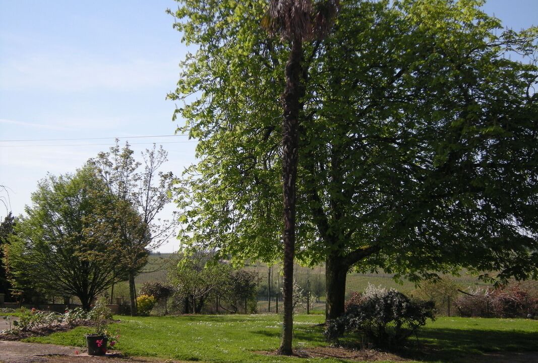 Photo of Outdoor in Saint-Andre-du-Bois