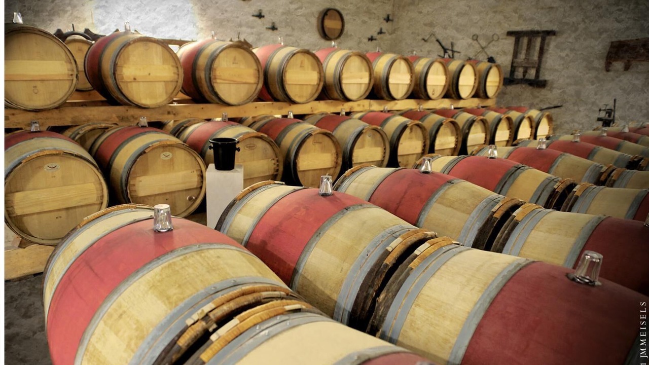 Photo of Others in Cussac-Fort-Medoc