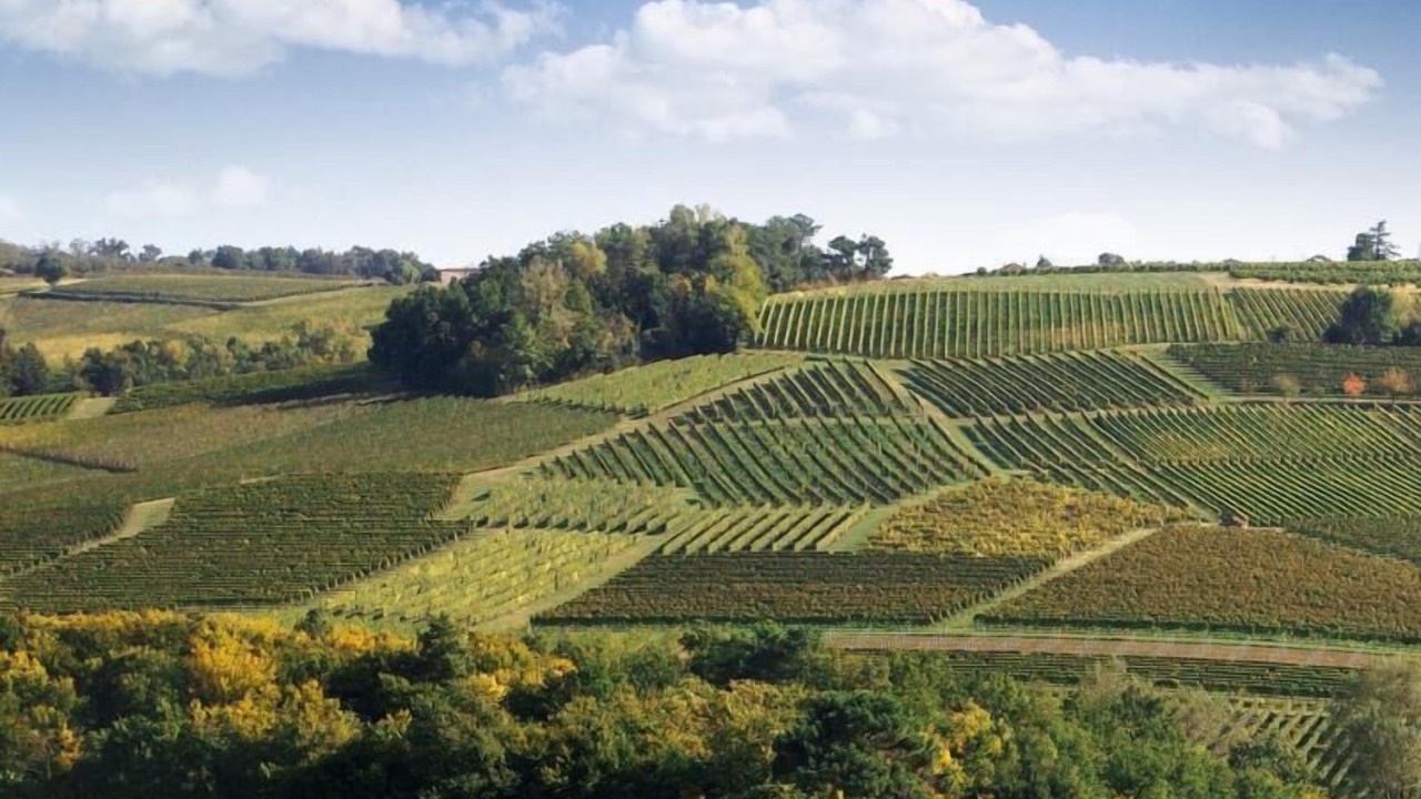 Photo of Others in Rimons