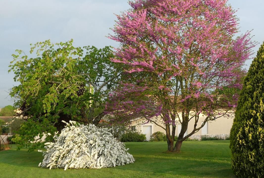 Photo of Outdoor in Daignac
