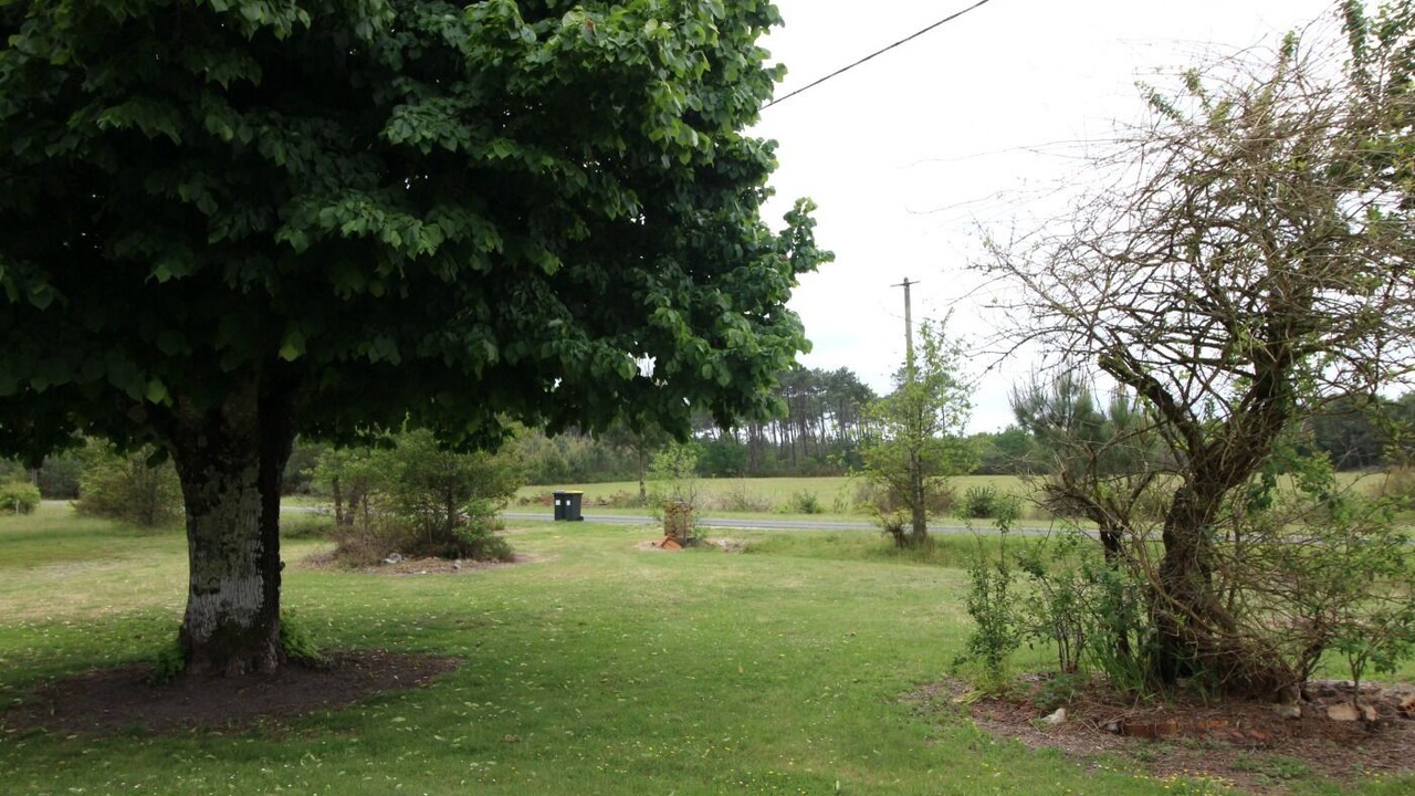 Photo of Outdoor in Carcans