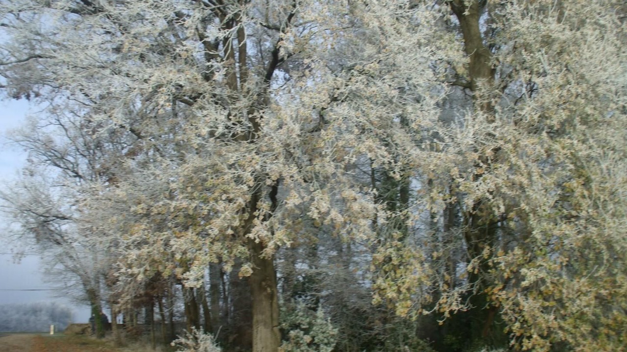 Photo of Outdoor in Tizac-de-Curton