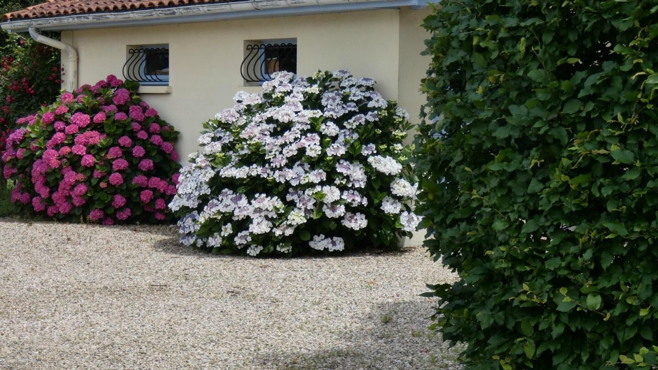 Photo of Outdoor in Tizac-de-Curton